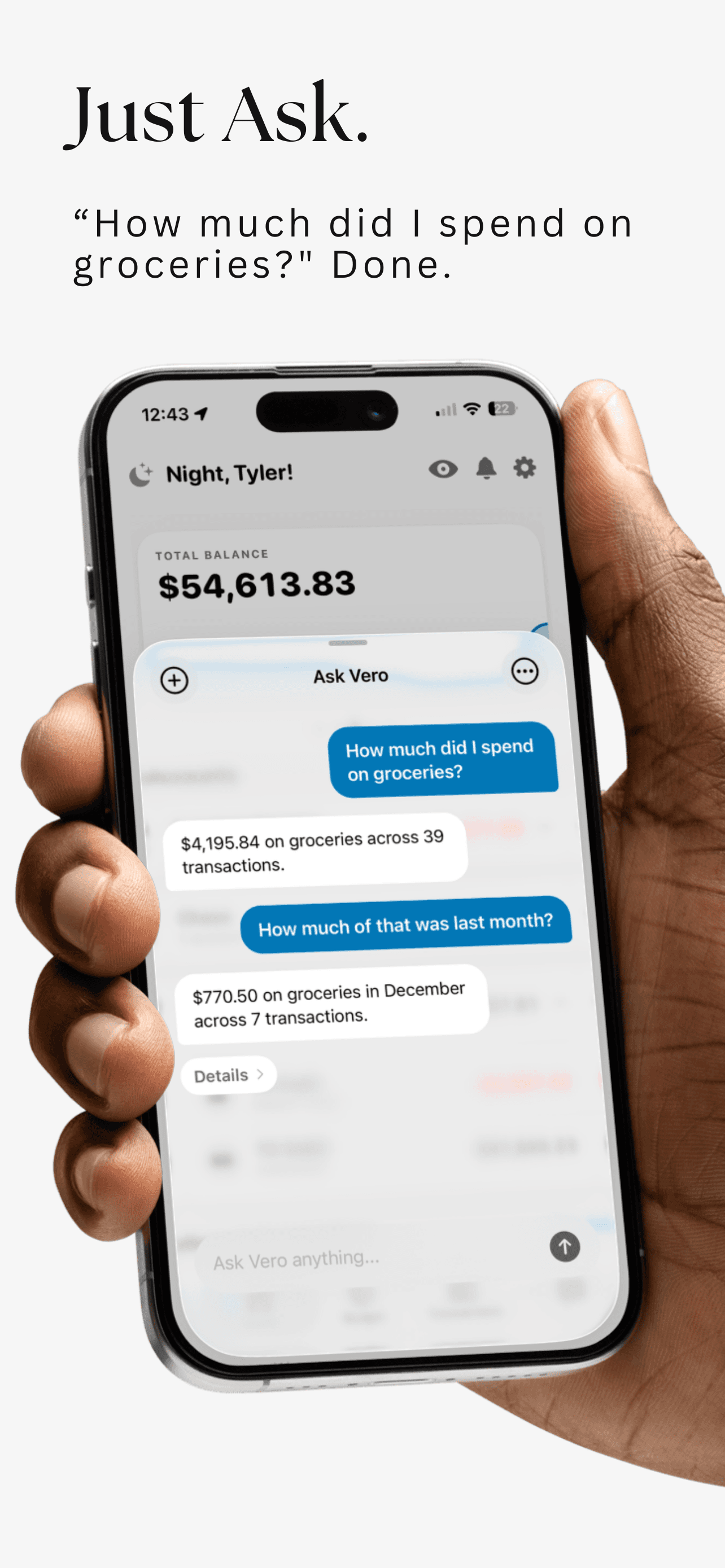 Ask Vero screenshot 2