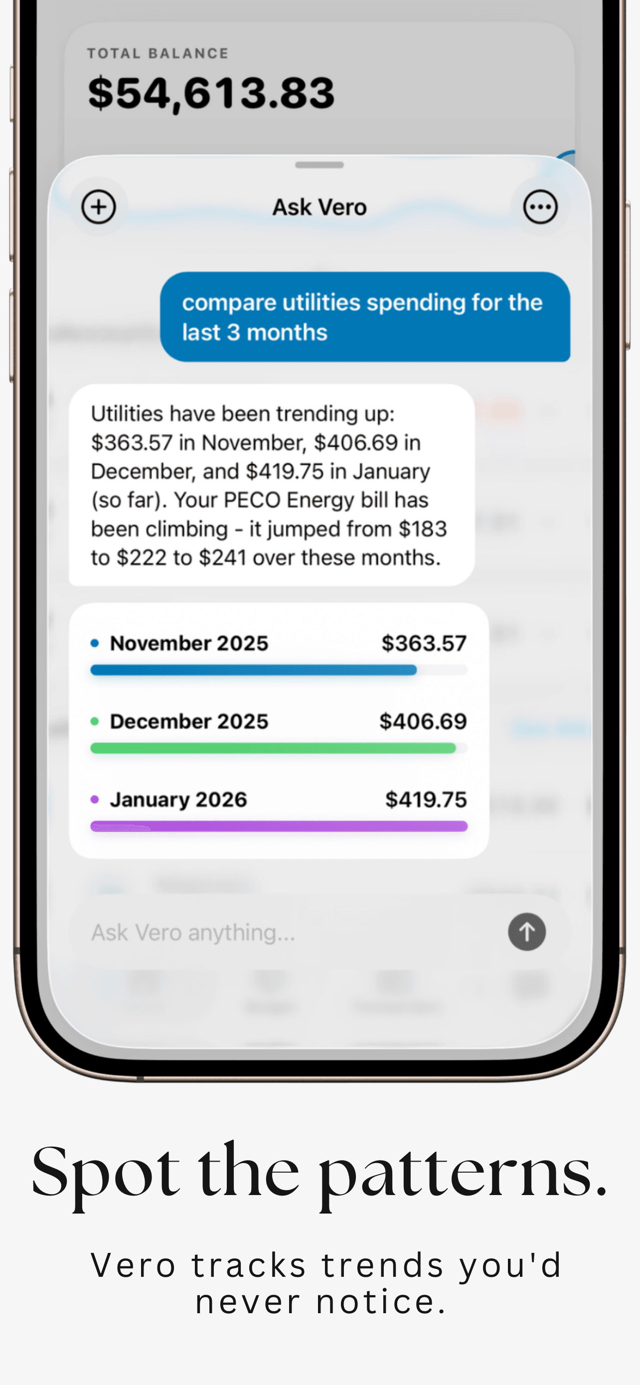 Ask Vero screenshot 9