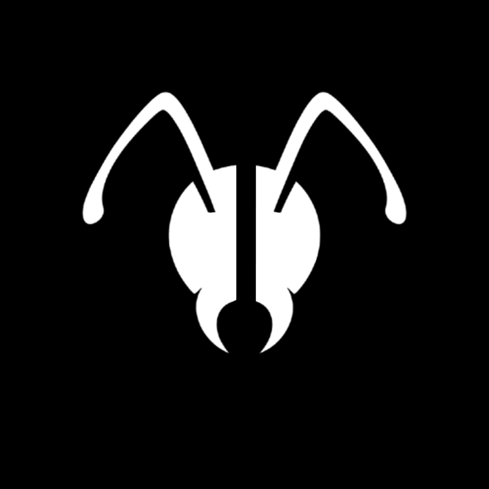 AnToAnt screenshot 2