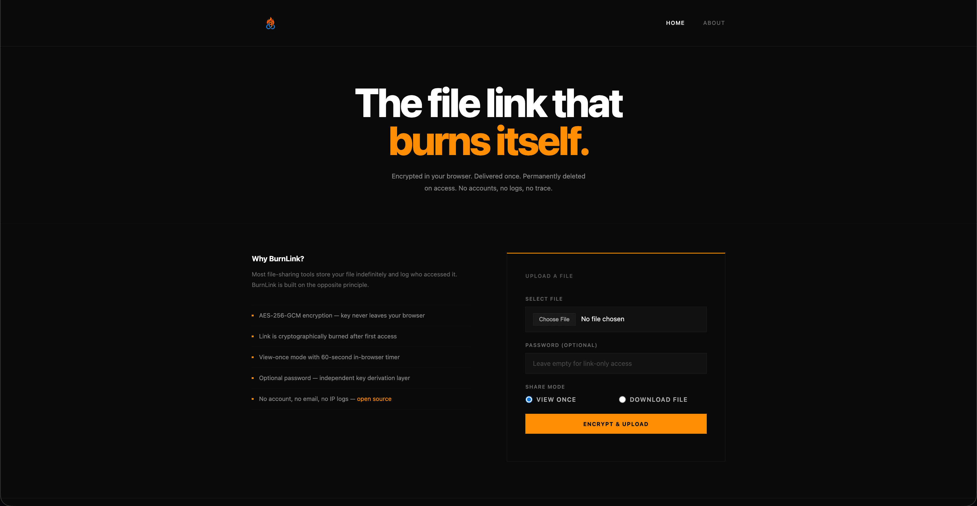 BurnLink screenshot 2
