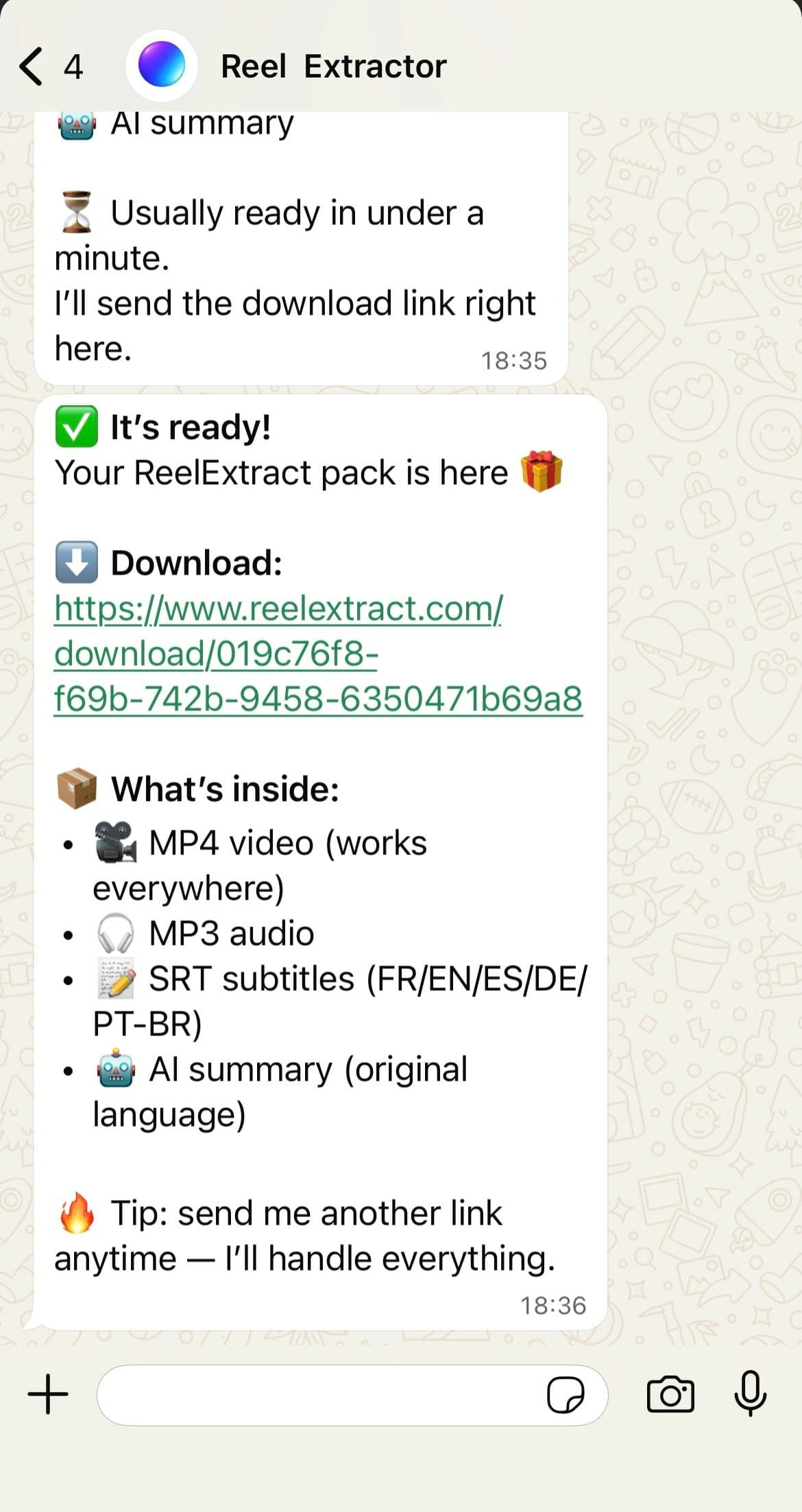 ReelExtract screenshot 2