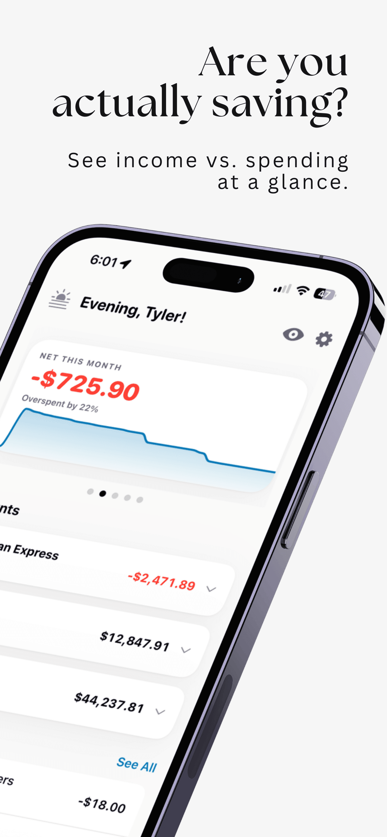 Ask Vero screenshot 4