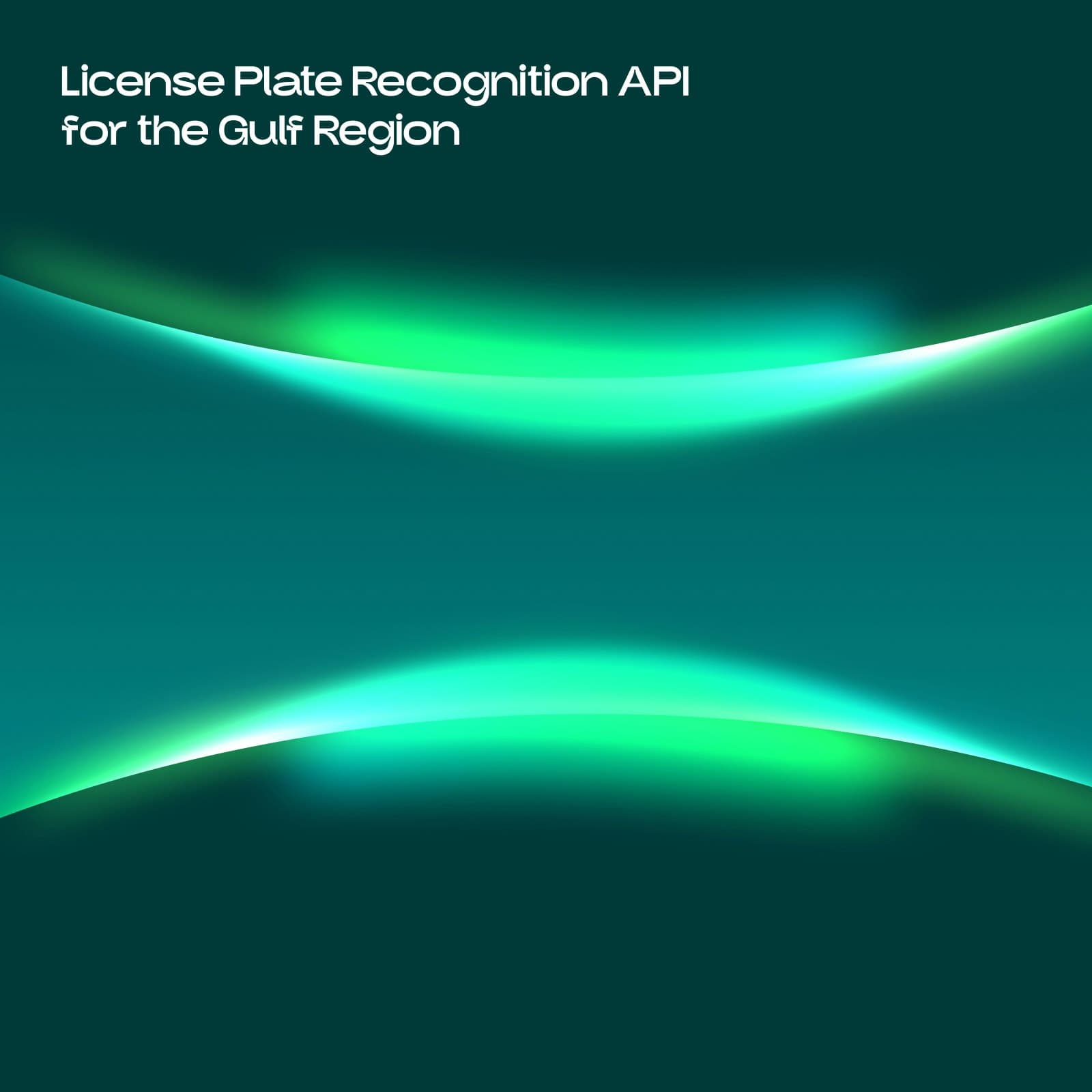 ANPR.software screenshot 5