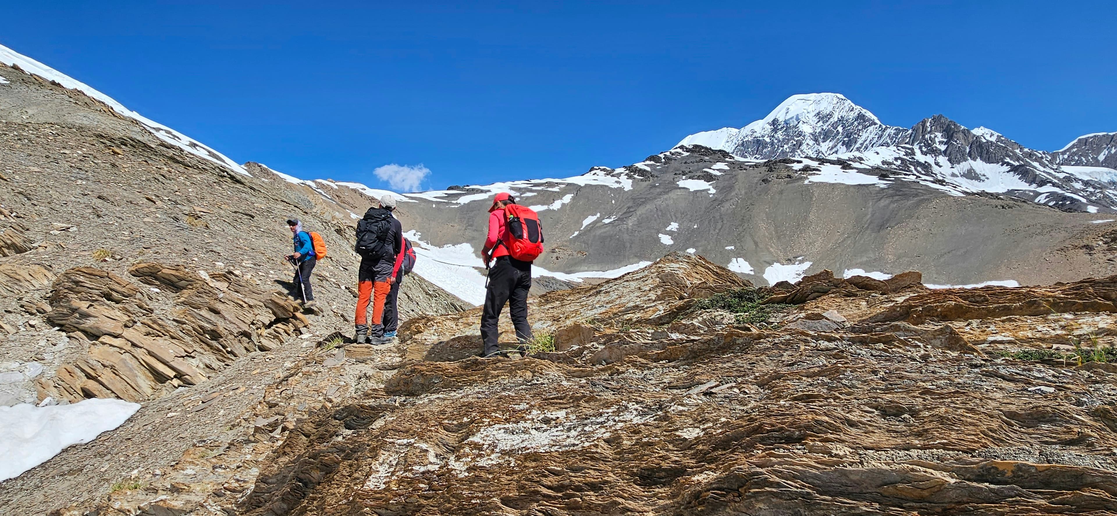 Trips Nomad screenshot 4