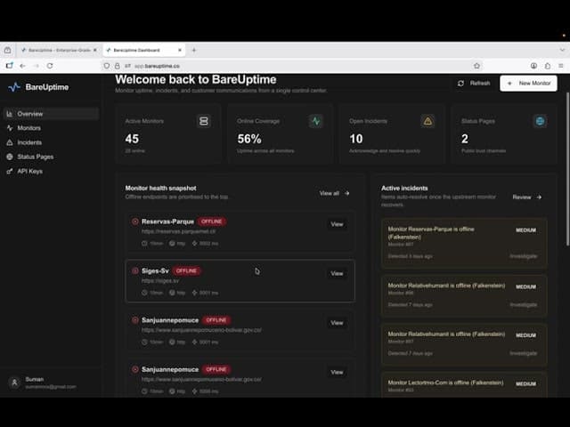 BareUptime screenshot 1