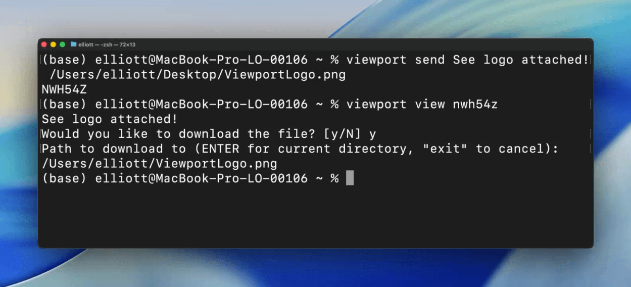 Viewport screenshot 5