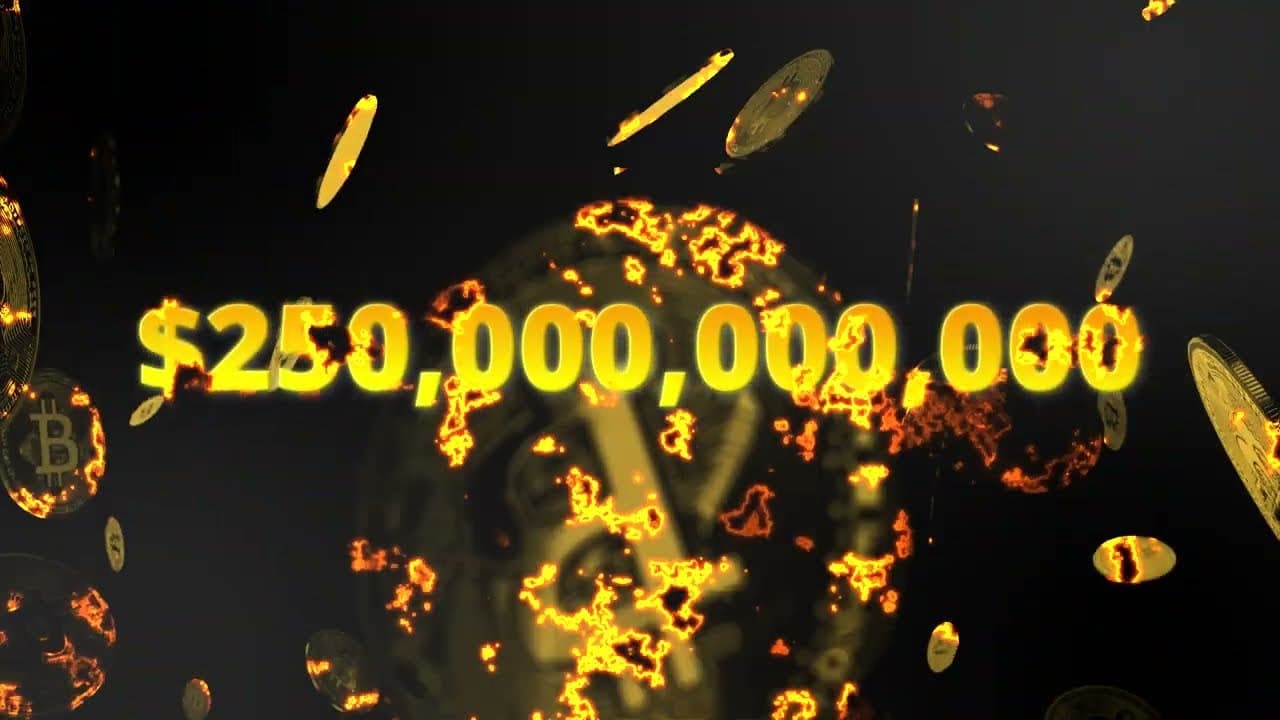 Q-Ledger screenshot 1