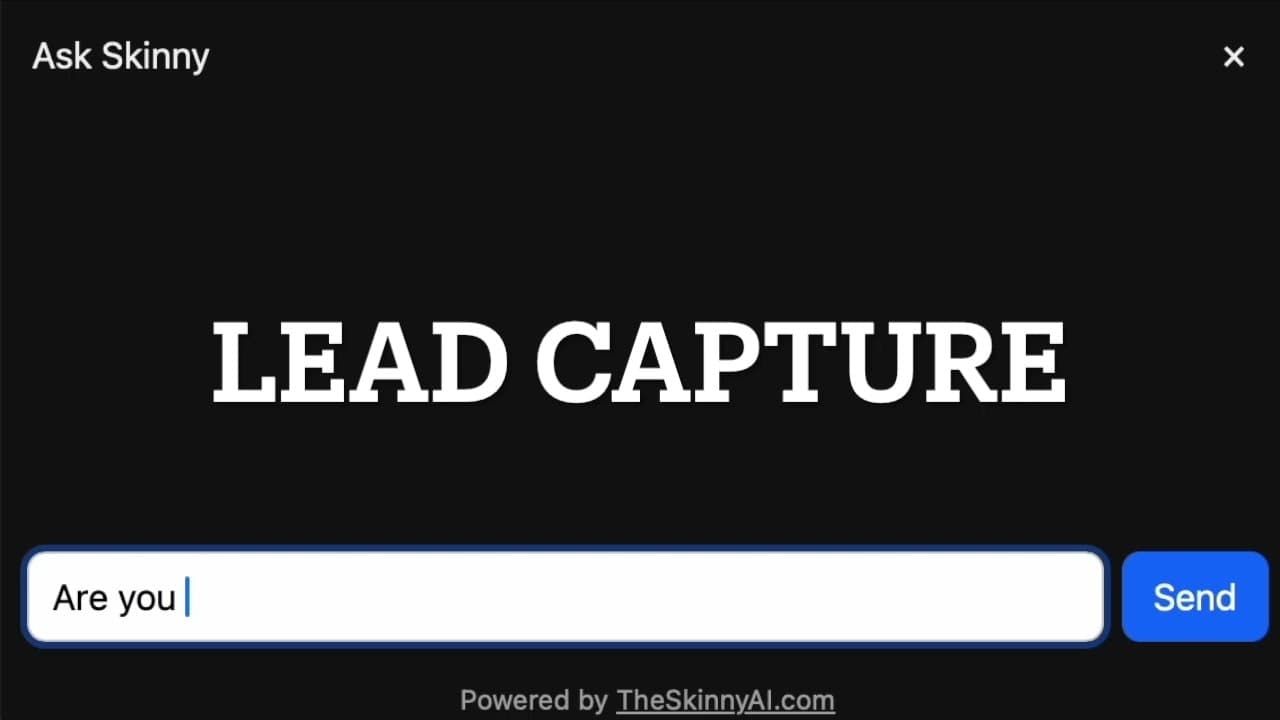 TheSkinnyAI screenshot 1