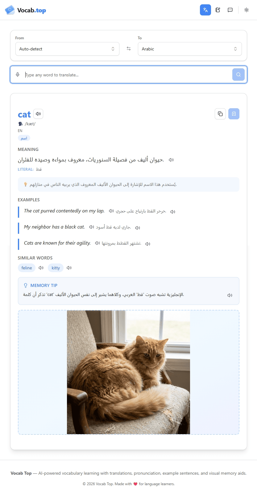 Vocab Top screenshot 3