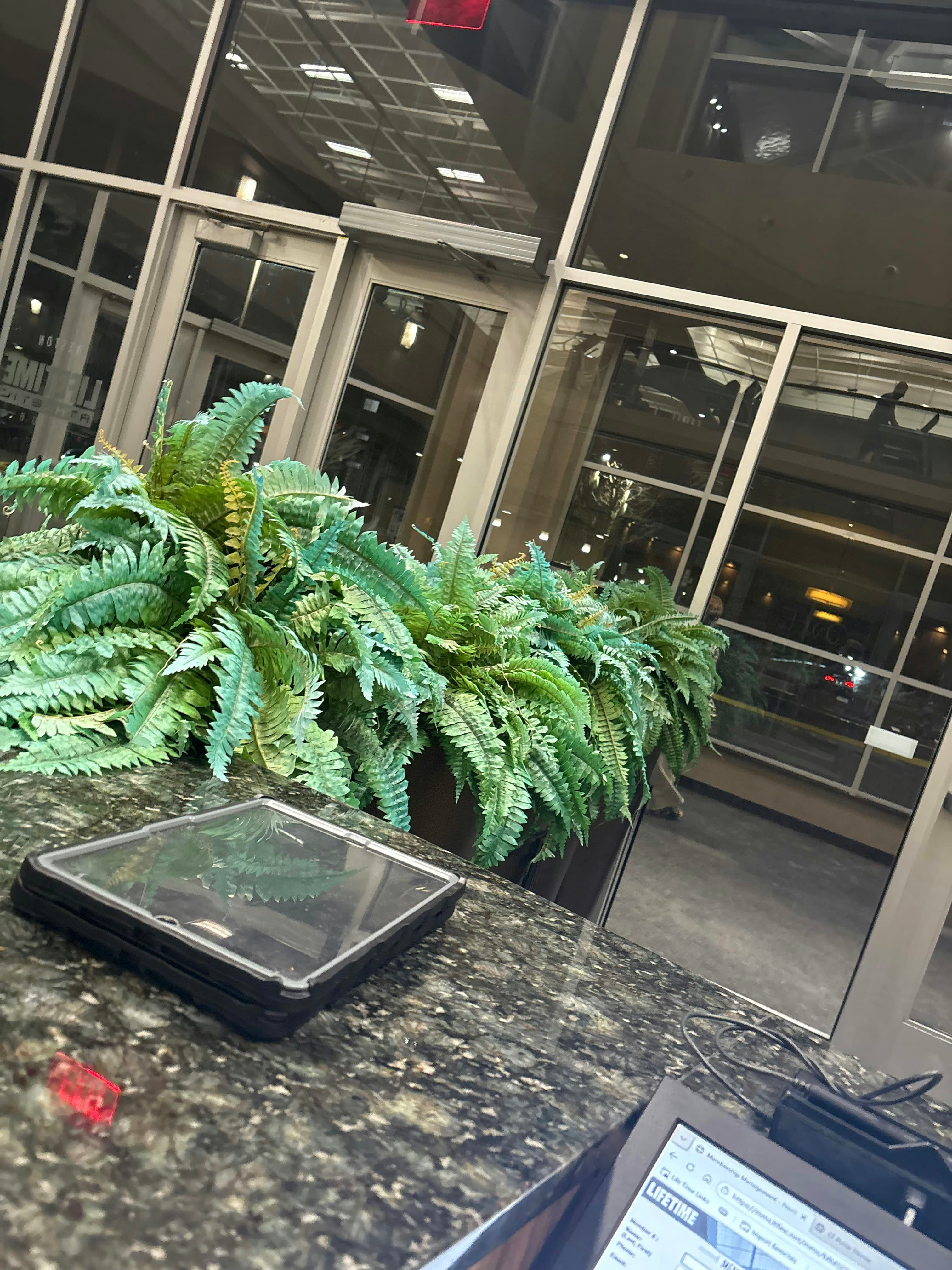 AutoScout AI screenshot 3