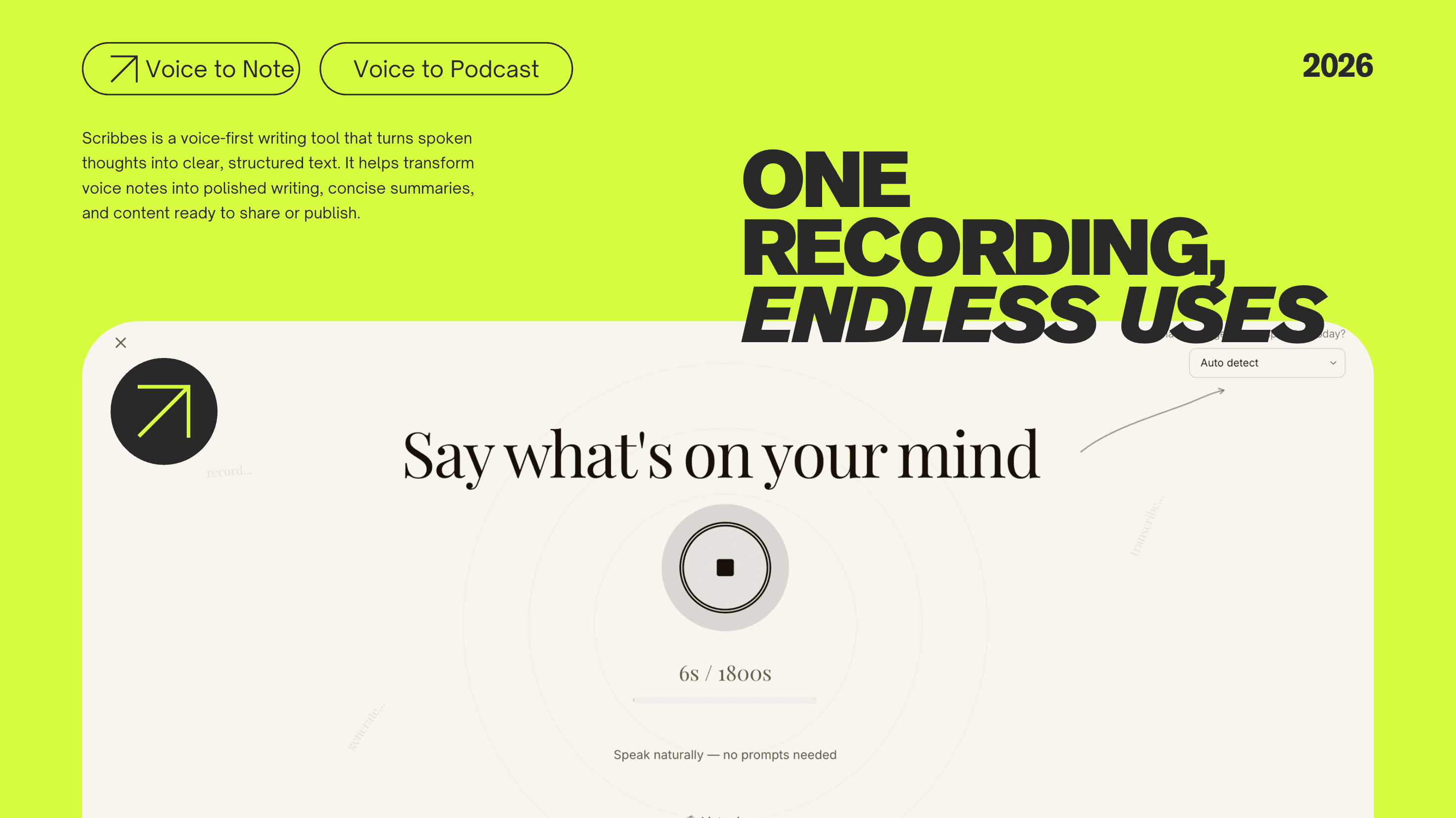 Scribbes — Speak once. Get everything screenshot 1
