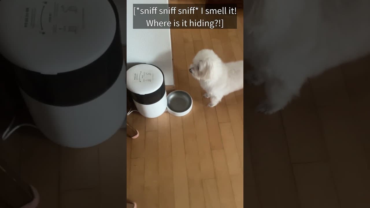 Cherinity screenshot 1